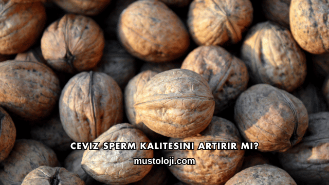 Ceviz Sperm Kalitesini Artırır mı?