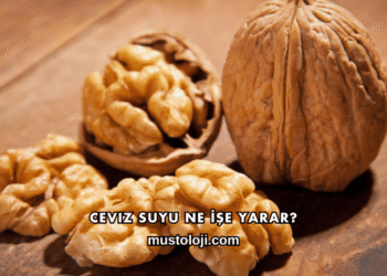Ceviz Suyu Ne İşe Yarar