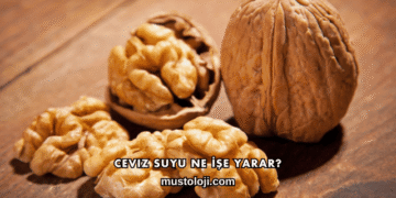 Ceviz Suyu Ne İşe Yarar