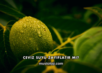 Ceviz Suyu Zayıflatır mı?