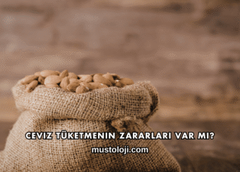 Ceviz Tüketmenin Zararları Var mı?