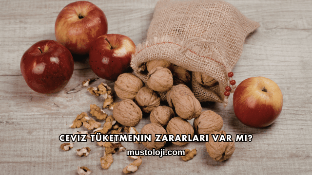 Ceviz Tüketmenin Zararları Var mı?