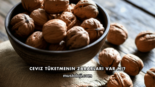 Ceviz Tüketmenin Zararları Var mı?