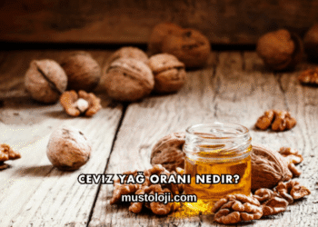 Ceviz Yağ Oranı Nedir?