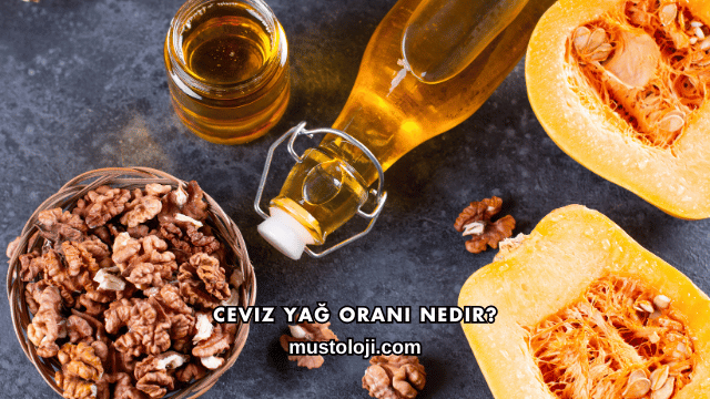 Ceviz Yağ Oranı Nedir?
