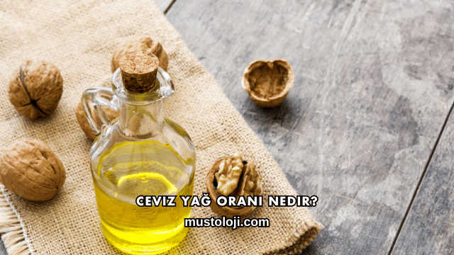 Ceviz Yağ Oranı Nedir?