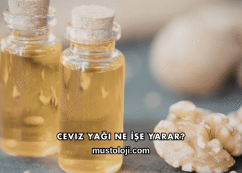 Ceviz Yağı Ne İşe Yarar?
