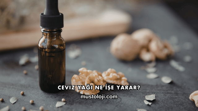 Ceviz Yağı Ne İşe Yarar?