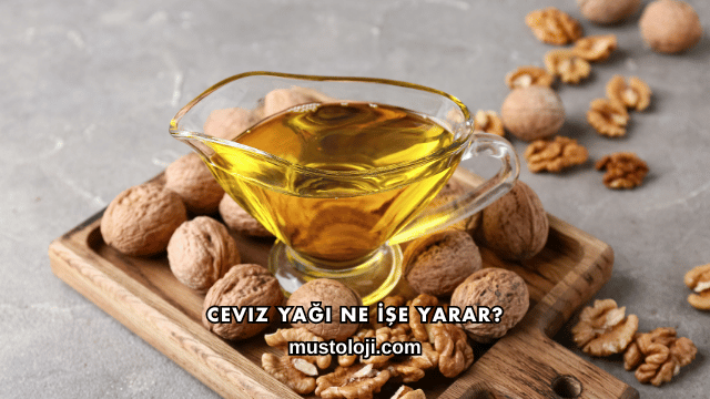 Ceviz Yağı Ne İşe Yarar?