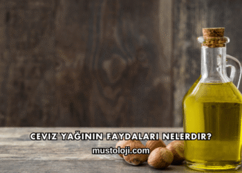Ceviz Yağının Faydaları Nelerdir?