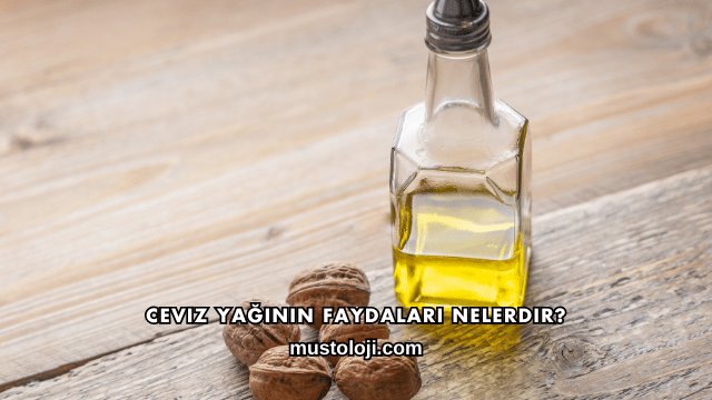 Ceviz Yağının Faydaları Nelerdir?