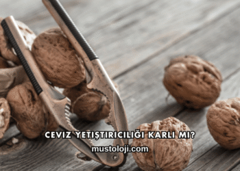 Ceviz Yetiştiriciliği Karlı mı?