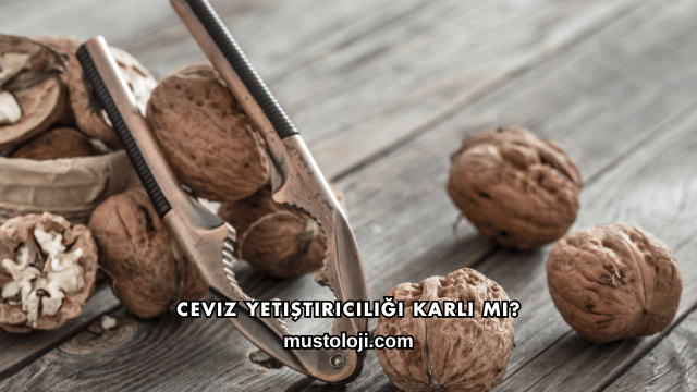 Ceviz Yetiştiriciliği Karlı mı?