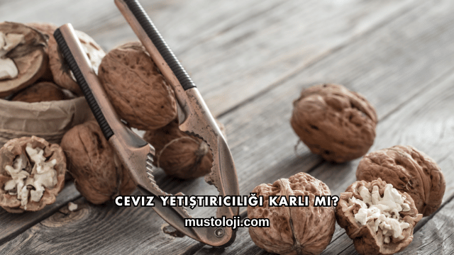 Ceviz Yetiştiriciliği Karlı mı?