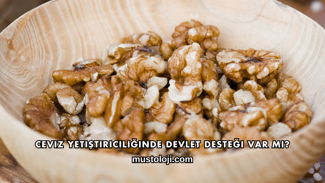 Ceviz Yetiştiriciliğinde Devlet Desteği Var mı