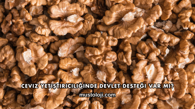 Ceviz Yetiştiriciliğinde Devlet Desteği Var mı