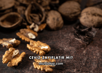 Ceviz Zayıflatır mı?