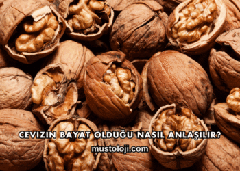 Cevizin Bayat Olduğu Nasıl Anlaşılır?