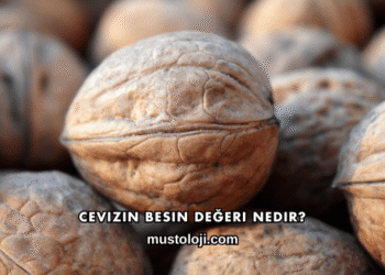 Cevizin Besin Değeri Nedir?