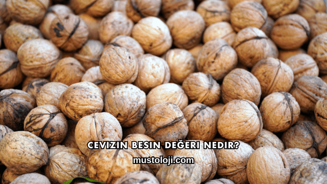 Cevizin Besin Değeri Nedir?