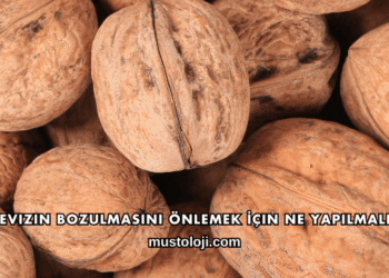 Cevizin Bozulmasını Önlemek İçin Ne Yapılmalı?