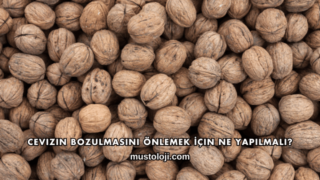 Cevizin Bozulmasını Önlemek İçin Ne Yapılmalı?