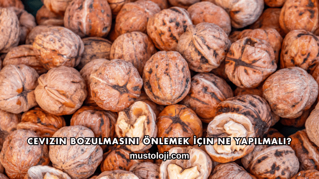 Cevizin Bozulmasını Önlemek İçin Ne Yapılmalı?