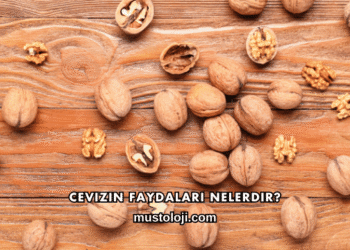 Cevizin Faydaları Nelerdir?