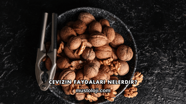 Cevizin Faydaları Nelerdir?