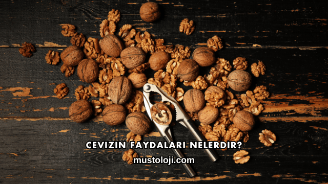 Cevizin Faydaları Nelerdir?