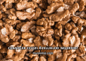 Chandler Cevizi Özellikleri Nelerdir?