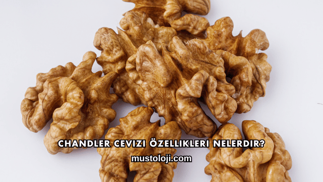 Chandler Cevizi Özellikleri Nelerdir?