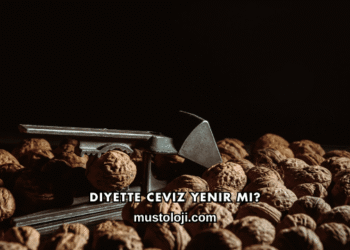 Diyette Ceviz Yenir mi?