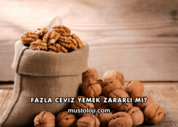 Fazla Ceviz Yemek Zararlı mı?