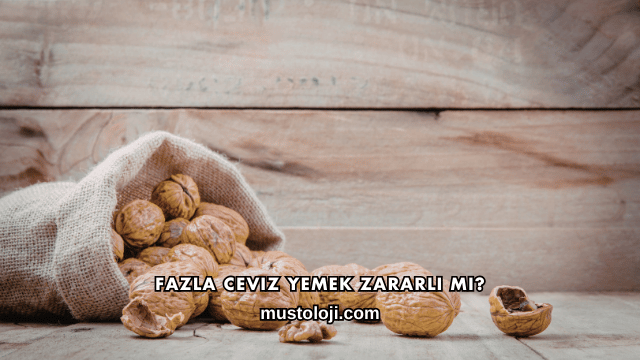 Fazla Ceviz Yemek Zararlı mı?