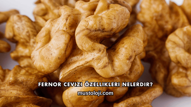 Fernor Cevizi Özellikleri Nelerdir?