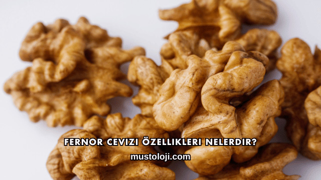Fernor Cevizi Özellikleri Nelerdir?