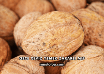 Gece Ceviz Yemek Zararlı mı?