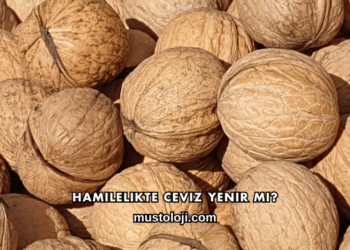 Hamilelikte Ceviz Yenir mi?