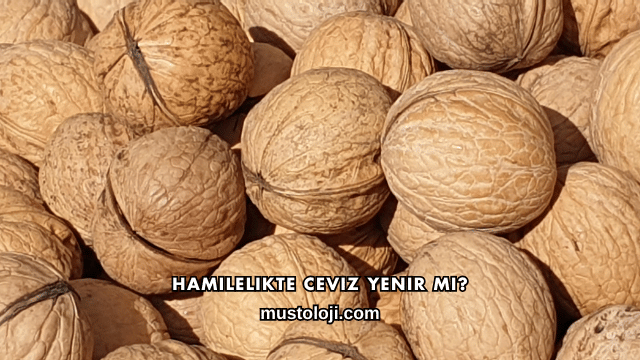 Hamilelikte Ceviz Yenir mi?