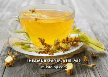 Ihlamur Zayıflatır mı?