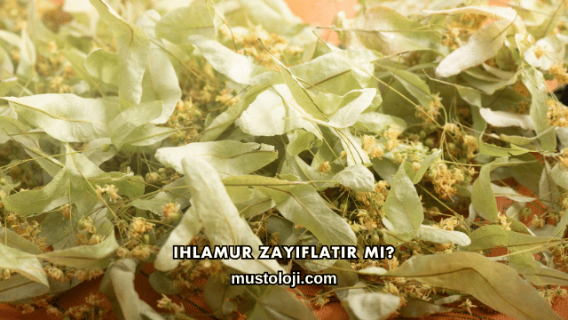 Ihlamur Zayıflatır mı?