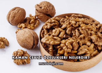 Kaman Cevizi Özellikleri Nelerdir?