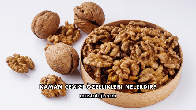 Kaman Cevizi Özellikleri Nelerdir?