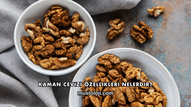 Kaman Cevizi Özellikleri Nelerdir?
