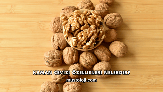 Kaman Cevizi Özellikleri Nelerdir?