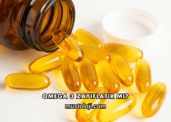 Omega 3 Zayıflatır mı?