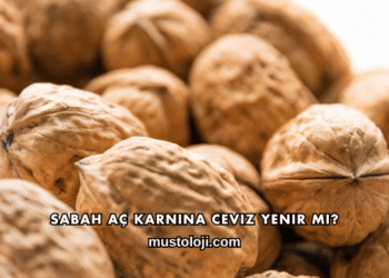 Sabah Aç Karnına Ceviz Yenir mi?