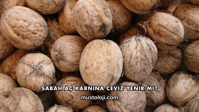 Sabah Aç Karnına Ceviz Yenir mi?