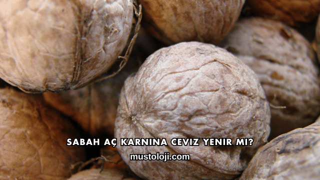 Sabah Aç Karnına Ceviz Yenir mi?